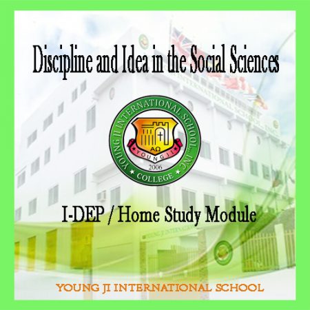 Discipline and Idea in the Social Sciences