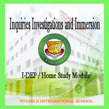 Inquiries Investigations and Immersion